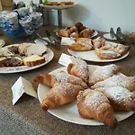 콩코르디아 *